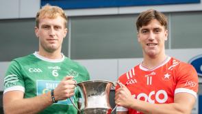 Blackrock too good for Bruff in Limerick premier intermediate hurling championship opener