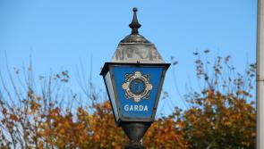 Garda&iacute; rush to scene amid assaults and worrying reports of 'car driving in dangerous manner'