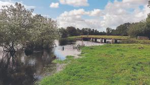 New website launched to support flood relief efforts along River Shannon