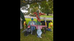County Limerick students transform donated clothing and leaves into colourful scarecrows