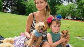 Everything you need to know about the heatwave in Limerick