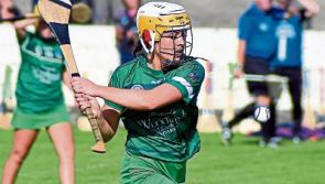  Sideline sub-plot as Limerick face Galway in All Ireland Camogie Championship