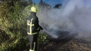 Fire crews from three counties tackle&nbsp;'large' gorse fire near Limerick village