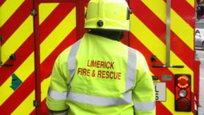 Emergency services at scene of truck and car collision in Limerick