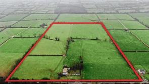 Limerick dairy farmer buys land for &euro;10k an acre&nbsp;