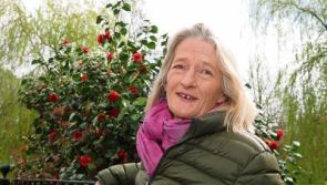 Serving up a warm bowl of soup and a bit of a chat at Limerick's Milk Market