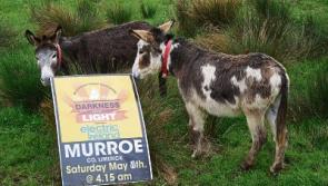 Limerick village's Darkness Into Light walk a beacon of hope with&nbsp;a&nbsp;novel twist