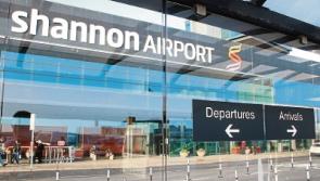 Shannon Group  seeks new CEO