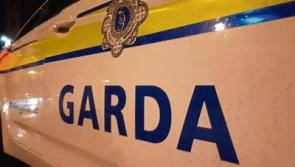 Gardai probe attempted burglaries in county Limerick town