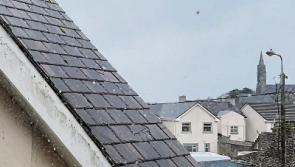 Concern over &euro;500k plan for new roof at Limerick library