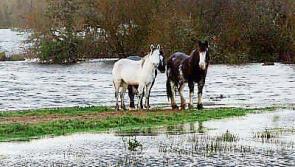 Opinion: Heedless development and interference with wetlands the cause of our problems