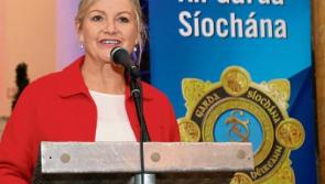 Opportunist thief ‘walked into’ Limerick house and stole two handbags