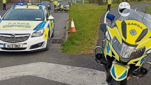 Motorist stopped at garda checkpoint  was travelling to Limerick "to buy a trampoline"