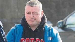 Limerick burglary suspect in custody