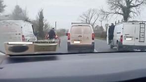 An 'accident waiting to happen': incident of sulky racing on Limerick road
