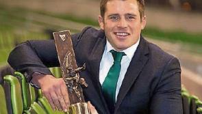 Stander scoops another top award in 'great' 2016