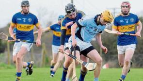 Na Piarsaigh crowned Limerick senior hurling league champions