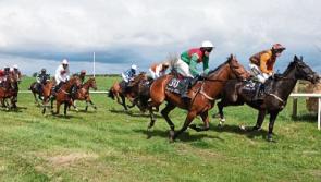 Limerick club says point-to-point cancellation 'a big blow to economy'