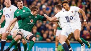 Stander hails O'Mahony's display as 'unbelievable'