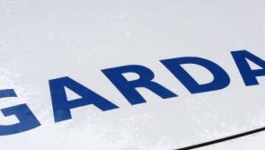 Man seriously injured in hatchet attack in Limerick village