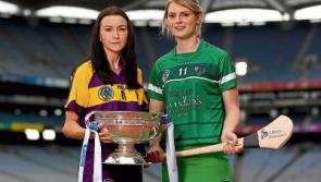 Model victory needed for Limerick camogie progress