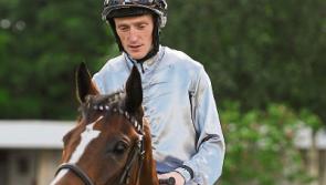 Limerick jockey Billy Lee rides&nbsp;Galway festival winner