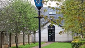 Mother found dead in County Limerick