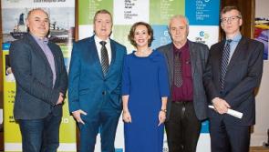 Limerick economist's warning over Brexit flight