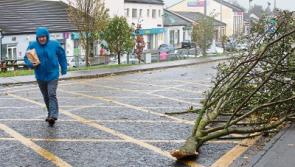 Almost &euro;400,000 given to Limerick to tackle aftermath of ex-Hurricane Ophelia