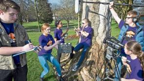 Young filmmakers get Fresh chance to be 'seen and heard' at Limerick festival