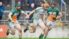 Limerick hurlers lauded for driving performance against Offaly