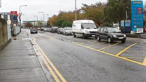 Delays on Limerick road due to 'loose dogs'