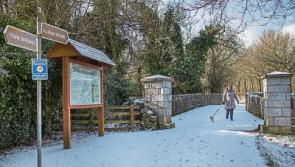 All schools to remain closed as Limerick braces itself for blizzard-like conditions