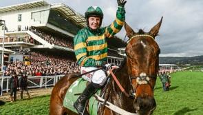 JP McManus and Enda Bolger chase big race glory at Cheltenham&nbsp;