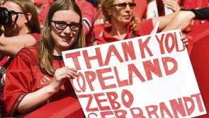 Munster coach Van Graan says only 'very, very best'&nbsp;will do against Leinster