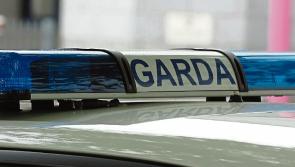 Post mortems on bodies of three brothers discovered in Mitchelstown completed