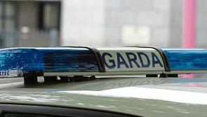 Similar collision on same Limerick road hours before fatality occurred