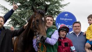 Limerick racing connections celebrate bumper spell of success