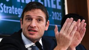 Limerick man leads Wales' Qatar World Cup return after 64-year wait