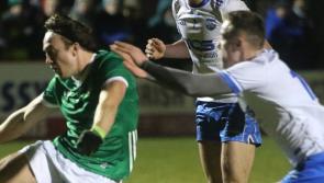 Limerick kick-off Ray Dempsey era with clinical McGrath Cup win over Waterford 