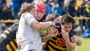 Four Limerick wins in dramatic penultimate round of All-Ireland fixtures