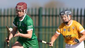 Limerick suffer opening day defeat in All-Ireland senior camogie championship