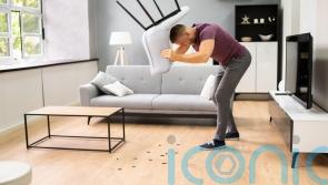 Are there creepy crawlies lurking in your home? How to spot and get rid of them