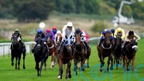 Nottingham celebrating Derby impact after Desert Crown&rsquo;s Epsom strike