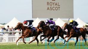 Kyprios is Gold Cup king as gallant Stradivarius goes down fighting