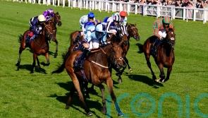 Get Shirty too good for Old Newton Cup rivals