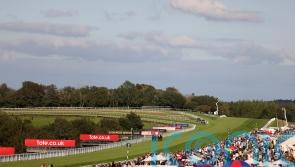 McConnell eyeing Stewards&rsquo; Cup with Coachello