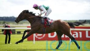 Westover set for deserved break after recent exertions