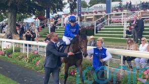 Desert Order makes no mistake in Convivial Maiden