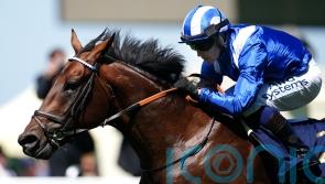 Haggas: Business as usual in countdown to Baaeed farewell